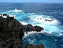 Portugalsko, Madeira – rozkvetlý ostrov v Atlantiku